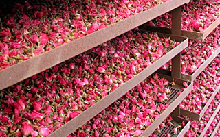 Просушка и хранение бутонов розы - интернет-магазин китайского чая Balck-Green